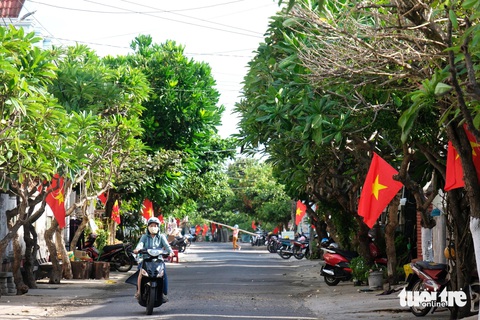 Những công trình tình nguyện giữ màu xanh trên đảo Phú Quý- Ảnh 1. 200 lá cờ tạo thành