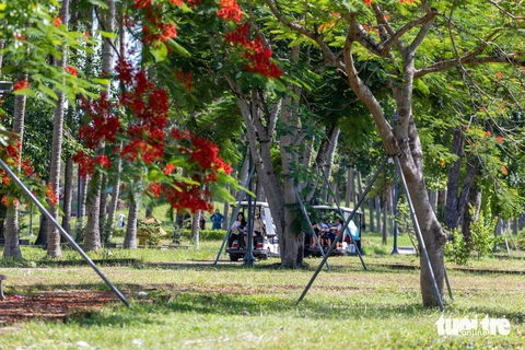 Phượng hồng rực rỡ, sen thơm ngát ở Thành cổ Quảng Trị- Ảnh 3. Du khách nghe về lịch sử di tích dưới những tán phượng hồng - Ảnh: HOÀNG TÁO