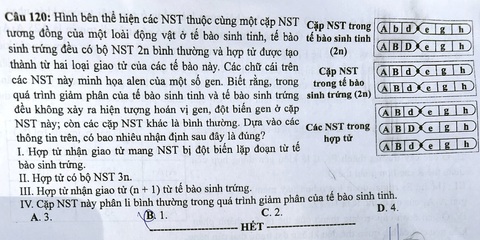 Đề thi môn sinh học tốt nghiệp THPT 2024- Ảnh 6. Đề thi môn sinh học, mã đề 215 - Ảnh: PHƯƠNG QUYÊN