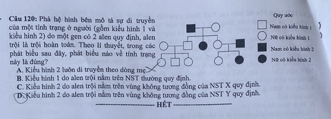 AI giải đề thi môn sinh học THPT 2024, mời bạn đọc tham khảo- Ảnh 6. AI giải đề thi môn sinh học THPT 2024, mời bạn đọc tham khảo- Ảnh 6.