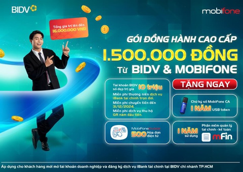 Gói giải pháp số dành cho khách hàng doanh nghiệp- Ảnh 3. Gói đồng hành cao cấp