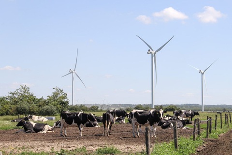 Đan Mạch thông báo áp thuế CO2 đối với ngành chăn nuôi từ năm 2030- Ảnh 1. Đan Mạch thông báo áp thuế CO2 đối với ngành chăn nuôi từ năm 2030- Ảnh 1.
