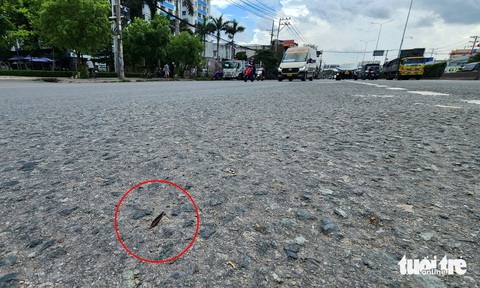 Ra quân hút đinh trên quốc lộ 1, đoạn qua cầu vượt An Sương- Ảnh 3. Miếng đinh hình thoi sắc nhọn nằm trên quốc lộ 1 (đoạn lên cầu vượt An Sương) - Ảnh chụp trưa 29-6