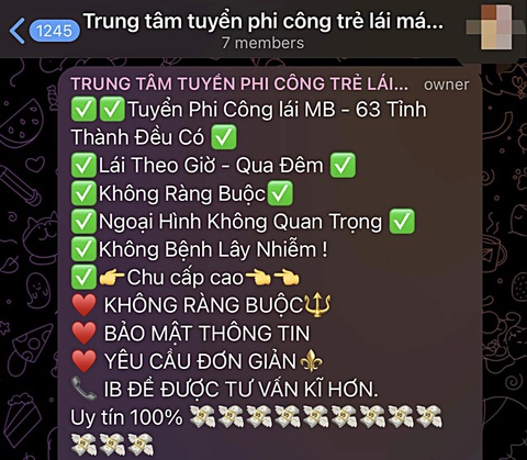 Sốc với chợ tình trên mạng - Kỳ 3: Bán 'đêm xuân' cho quý bà- Ảnh 2. Thông tin tuyển “phi công” lan tràn trên mạng - Ảnh chụp màn hình