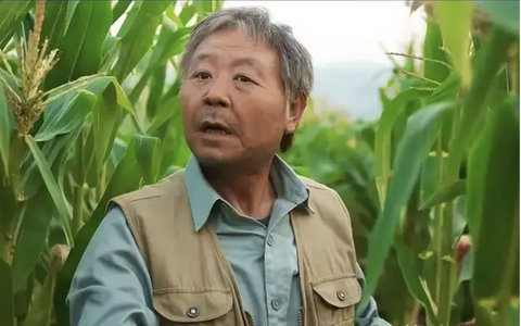 Khán giả tiếc nuối cho Phạm Vỹ trong phim Mùa dài đằng đẵng khi để vụt mất giải Nam chính xuất sắc Khán giả tiếc nuối cho Phạm Vỹ trong phim Mùa dài đằng đẵng khi để vụt mất giải Nam chính xuất sắc