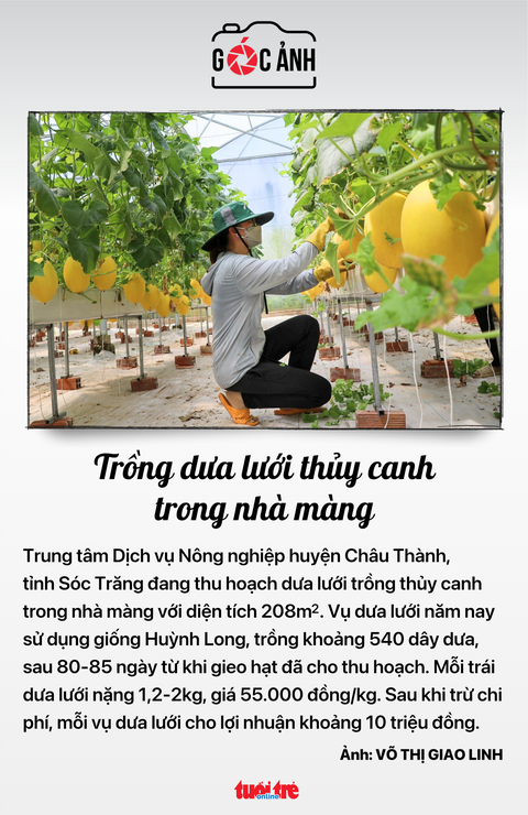 Tin tức sáng 4-6: Garmex Sài Gòn lại rao bán đất; 56.000 tỉ từ cấp quyền khai thác khoáng sản- Ảnh 8. Tin tức sáng 4-6: Garmex Sài Gòn lại rao bán đất; 56.000 tỉ từ cấp quyền khai thác khoáng sản- Ảnh 8.