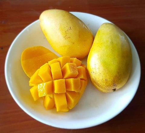 Ít ai biết trái xoài có tác dụng chữa nhiều bệnh độc đáo- Ảnh 2. Dùng xoài đúng cách có thể chữa nhiều bệnh - Ảnh minh họa