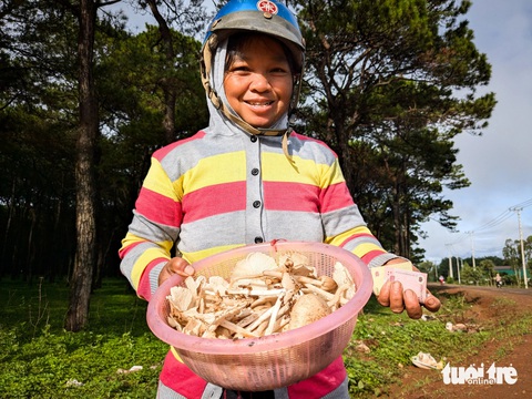 Cực phẩm nấm mối Tây Nguyên sau mưa: Luộc chấm mắm cũng 'ngon quắn lưỡi'- Ảnh 5. Người phụ nữ Jarai chào bán nấm mối dọc đường đi Ia Grai, Gia Lai. Mùa này nấm mối đã xuất hiện lác đác tại các chợ tạm ven đường - Ảnh: TẤN LỰC