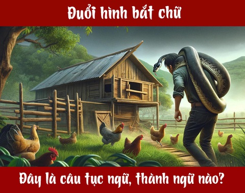 IQ cao có đoán được đây là câu tục ngữ, thành ngữ gì? (P83)- Ảnh 1.