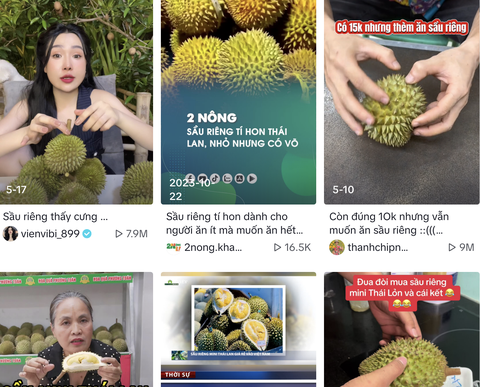 Thực hư 'sầu Thái tí hon' đang hot trend giá không tới 100.000 đồng một trái- Ảnh 1. Sầu Thái mini được quan tâm rầm rộ trên mạng xã hội những ngày qua - Ảnh chụp màn hình