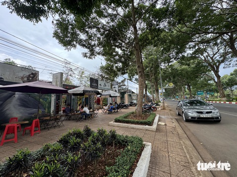 Đất sân bay Buôn Ma Thuột được cấp, liên kết hàng chục hecta từ để làm đất ở, trồng cà phê hàng chục năm trước giờ khó khăn cho việc thu hồi - Ảnh: TRUNG TÂN Đất sân bay Buôn Ma Thuột được cấp, liên kết hàng chục héc ta để làm đất ở, trồng cà phê hàng chục năm trước, giờ khó khăn cho việc thu hồi - Ảnh: TRUNG TÂN