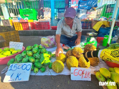 Thực hư 'sầu Thái tí hon' đang hot trend giá không tới 100.000 đồng một trái- Ảnh 3. Sầu riêng mini được bán nhiều tại chợ truyền thống, các điểm bán chủ yếu là sầu Ri6 với giá từ 60.000 đồng một ký - Ảnh: NHẬT XUÂN
