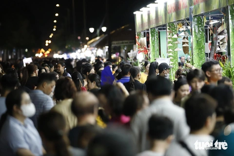 Mít vị sầu riêng, vú sữa ăn cả vỏ, thanh long tổ yến lần đầu có mặt ở Tuần lễ trái cây- Ảnh 1. Tối 4-6, đông đảo người dân đến tham quan không gian tổ chức Tuần lễ trái cây 2024