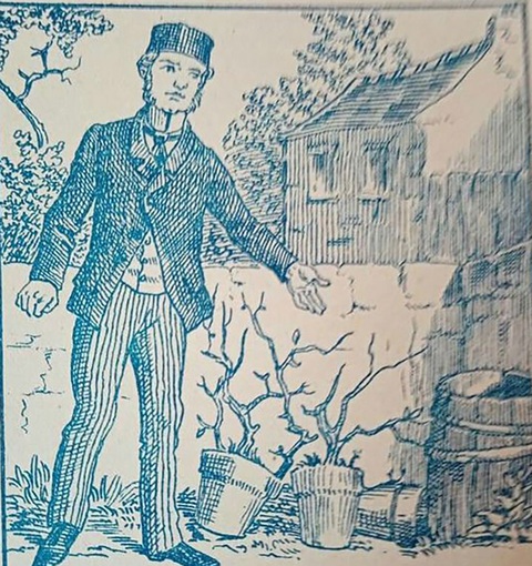Thử tài tinh mắt: Tìm 3 khuôn mặt ẩn giấu trong hình- Ảnh 1. Thử tài tinh mắt: Tìm 3 khuôn mặt ẩn giấu trong hình- Ảnh 1.