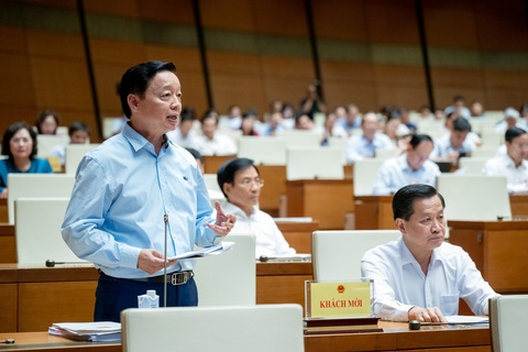 Phó thủ tướng nói việc nhập khẩu cát từ Campuchia làm vật liệu, trữ lượng đất hiếm- Ảnh 1. Phó thủ tướng Trần Hồng Hà - Ảnh: GIA HÂN