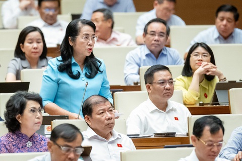 Bộ trưởng Đặng Quốc Khánh: Đến 2023, thu từ cấp quyền khai thác khoáng sản đạt trên 55.800 tỉ đồng- Ảnh 3. Đại biểu Trần Kim Yến (TP.HCM) - Ảnh: GIA HÂN