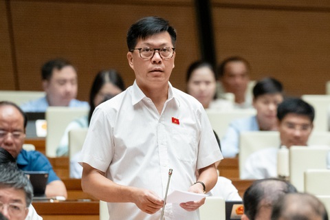 Bộ trưởng Đặng Quốc Khánh: Đến 2023, thu từ cấp quyền khai thác khoáng sản đạt trên 55.800 tỉ đồng- Ảnh 4. Đại biểu Lý Văn Huấn (Thái Nguyên) - Ảnh: GIA HÂN