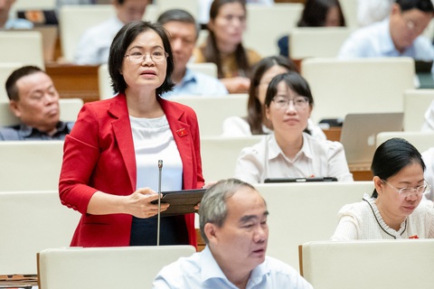 Bộ trưởng Đặng Quốc Khánh: Đến 2023, thu từ cấp quyền khai thác khoáng sản đạt trên 55.800 tỉ đồng- Ảnh 5. Đại biểu Nguyễn Thị Hồng Hạnh (TP.HCM) - Ảnh: GIA HÂN