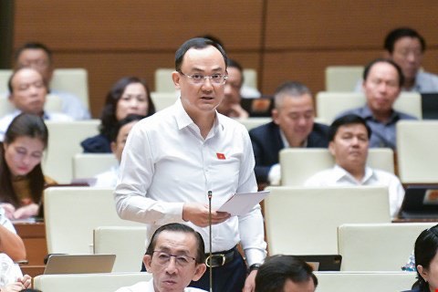 Bộ trưởng Đặng Quốc Khánh: Đến 2023, thu từ cấp quyền khai thác khoáng sản đạt trên 55.800 tỉ đồng- Ảnh 6. Đại biểu Nguyễn Ngọc Sơn (Hải Dương) - Ảnh: GIA HÂN