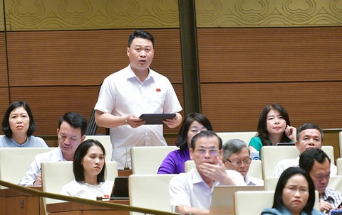 Tổng Kiểm toán Nhà nước: Tập đoàn Thuận An, Phúc Sơn không phải đối tượng được kiểm toán- Ảnh 4. Đại biểu Hà Đức Minh (Lào Cai) - Ảnh: GIA HÂN