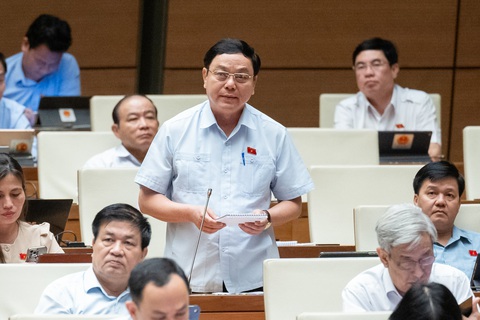 Tổng Kiểm toán Nhà nước: Tập đoàn Thuận An, Phúc Sơn không phải đối tượng được kiểm toán- Ảnh 7. Đại biểu Hoàng Đức Thắng (Quảng Trị) - Ảnh: GIA HÂN