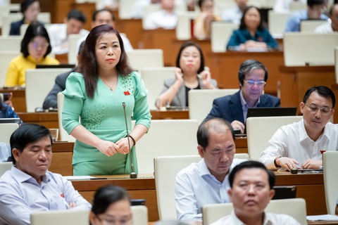 Tổng Kiểm toán Nhà nước: Tập đoàn Thuận An, Phúc Sơn không phải đối tượng được kiểm toán- Ảnh 8. Đại biểu Vũ Thị Lưu Mai (Hà Nội) - Ảnh: GIA HÂN