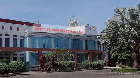 Bắt con trai nguyên tổng giám đốc Công ty Cao su Đắk Lắk- Ảnh 1. Công ty cổ phần Cao su Đắk Lắk - Ảnh: V.L.