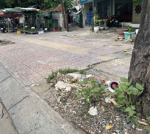 Tiếng loa cầm tay inh ỏi từ sáng đến khuya, từ đường lớn đến hẻm nhỏ- Ảnh 4. Chiếc loa của một điểm bán trái cây được giấu trong bụi cây trên đường Phạm Văn Đồng, đoạn qua phường Hiệp Bình Chánh, TP Thủ Đức