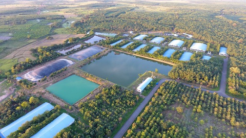 C.P. Việt Nam tiên phong thực hành cam kết Net Zero, hướng đến tương lai xanh- Ảnh 1. Mô hình trang trại bền vững của CPV (Green Farm)