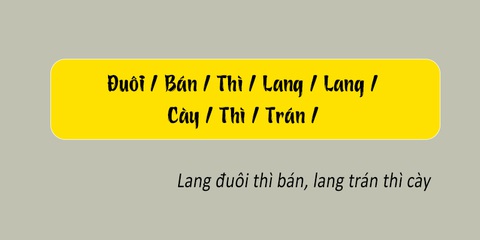 Thử tài tiếng Việt: Sắp xếp các từ sau thành câu có nghĩa (P113)- Ảnh 2.