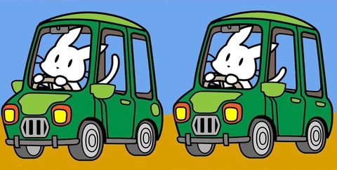 Thiên tài mới thấy 9 con sư tử trong 10 giây- Ảnh 5.