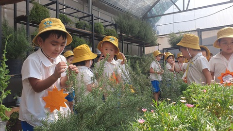 Nông nghiệp đô thị tại TPHCM có lịch sử phát triển tương đối lâu dài nhưng vẫn mang tính tự phát nhỏ lẻ so với tiềm năng và thế mạnh - Ảnh: TRẦN MẠNH