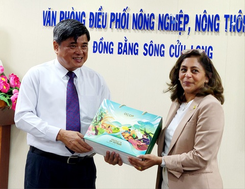 Gặp tổng giám đốc IRRI, Thứ trưởng Trần Thanh Nam nói gì về giống lúa IR50404?- Ảnh 1. Thứ trưởng Trần Thanh Nam tặng sản phẩm OCOP của Việt Nam cho bà Yvonne Pinto - tổng giám đốc Viện Nghiên cứu lúa quốc tế - tại buổi tiếp chiều 6-6 - Ảnh: CHÍ QUỐC
