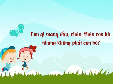 Con gì đầu, chân, thân con bò nhưng không phải con bò?- Ảnh 1. Con gì đầu, chân, thân con bò nhưng không phải con bò?- Ảnh 1.