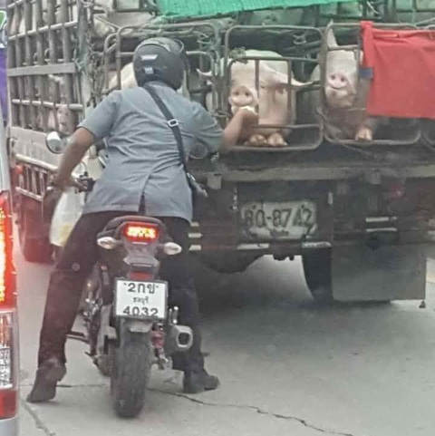 Ảnh vui 9-6: Cách bán hàng độc đáo- Ảnh 6. Bữa ăn cuối cùng!