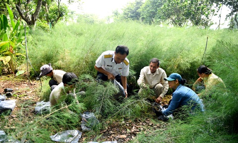 Chuẩn bị cố định những bầu cây chắc chắn và những người lính hải quân Vùng 4 cẩn thận đưa từng cây xanh lên xe về quân cảng Cam Ranh Chuẩn bị cố định những bầu cây chắc chắn và những người lính hải quân Vùng 4 cẩn thận đưa từng cây xanh lên xe về quân cảng Cam Ranh
