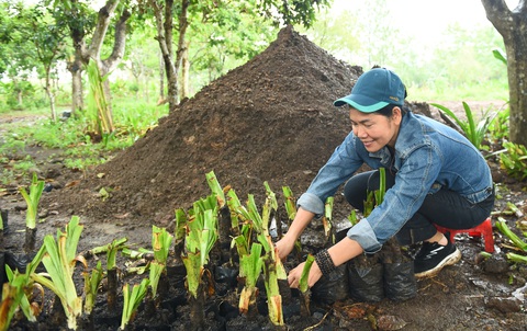 Chị Cồ Phi Hường trong Hội Bảo vệ thiên nhiên và môi trường TP.HCM vô bầu cây giống mang theo lòng yêu thương đến Trường Sa Chị Cồ Phi Hường trong Hội Bảo vệ thiên nhiên và môi trường TP.HCM vô bầu cây giống mang theo lòng yêu thương đến Trường Sa
