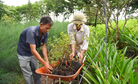 Các tình nguyện viên chuyên trách ươm mầm và chăm sóc cây con từ khi mới thành lập vườn “Vì một Việt Nam xanh” Các tình nguyện viên chuyên trách ươm mầm và chăm sóc cây con từ khi mới thành lập vườn “Vì một Việt Nam xanh”