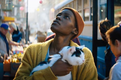 Diễn xuất ăn ý giữa San (Lupita Nyong'o) và chú mèo Frodo là điểm sáng của cả bộ phim - Ảnh: IMDb Diễn xuất ăn ý giữa San (Lupita Nyong'o) và chú mèo Frodo là điểm sáng của cả bộ phim - Ảnh: IMDb