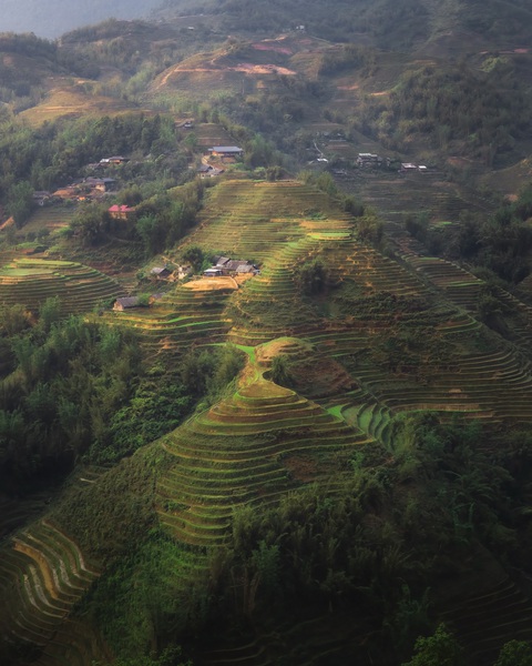 Ruộng bậc thang ở thị trấn Sa Pa - Ảnh: Harry Bradley Ruộng bậc thang ở thị trấn Sa Pa - Ảnh: HARRY BRADLEY