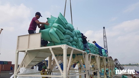 Chủ tịch Tập đoàn Tân Long khẳng định 'không liên quan gì đến Bulog'- Ảnh 2. Nhiều chuyên gia, doanh nghiệp lúa gạo lo ngại gạo Việt Nam xuất khẩu sẽ bị ảnh hưởng bởi hai cáo buộc trên - Ảnh: BỬU ĐẤU