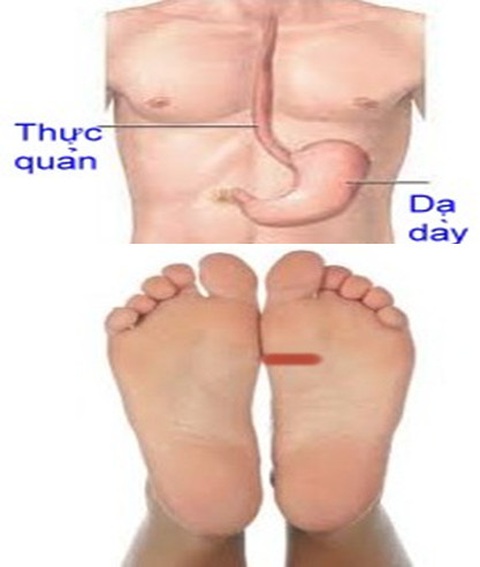 Tự kích thích huyệt tay chân để chữa đau loét dạ dày - tá tràng- Ảnh 4. Bấm khu phản xạ chân khi dạ dày, thực quản suy yếu - Ảnh minh họa: HÀ LINH
