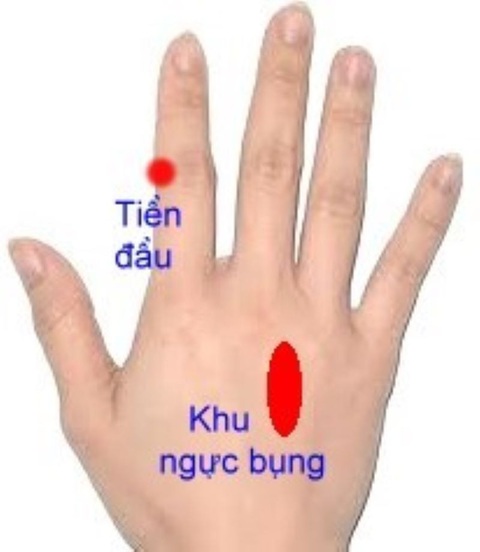 Tự kích thích huyệt tay chân để chữa đau loét dạ dày - tá tràng- Ảnh 3. Kích thích vị trí tiền đầu và khu ngực bụng khi đau dạ dày thông thường - Ảnh minh họa: HÀ LINH
