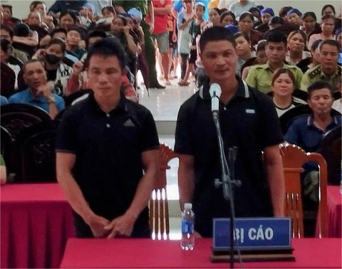 Cưa một cây gỗ quý hiếm, hai anh em lãnh 42 tháng cải tạo- Ảnh 1. Hai bị cáo Hà Văn Trưởng và Hà Văn Tiệp tại phiên tòa - Ảnh: CTV