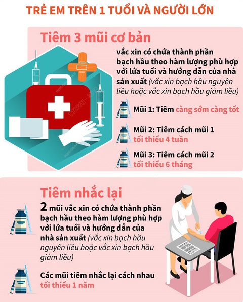 Lịch tiêm vắc xin phòng bệnh bạch hầu cho trẻ em, người lớn- Ảnh 2. Lịch tiêm vắc xin phòng bệnh bạch hầu cho trẻ em, người lớn- Ảnh 2.