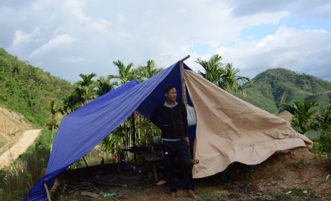 Giá cau cao kỷ lục, dân 'mặc áo giáp' cho cây ngăn trộm cắp- Ảnh 2. Người dân huyện Sơn Tây dựng lều túc trực bảo vệ những vườn cau - Ảnh: T.M.