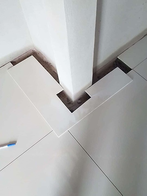 Ảnh vui 11-7: Đang livestream thì lộ sử dụng phần mềm lậu- Ảnh 3. Chán anh thợ xây.