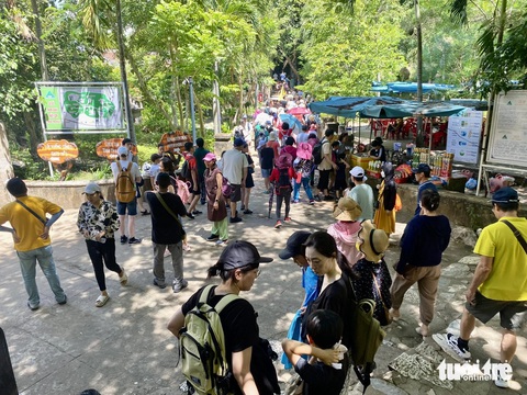 Khách Hàn đến Đà Nẵng 6 tháng bằng cả năm 2023, chiếm 40% khách nước ngoài- Ảnh 2. Khách Hàn Quốc hiện chiếm 41% thị phần khách nước ngoài đến Đà Nẵng - Ảnh: TRƯỜNG TRUNG
