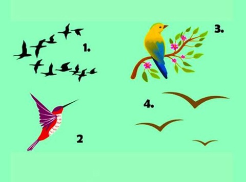 Quiz: Bạn là người tự cao hay khiêm tốn?- Ảnh 1. Quiz: Bạn là người tự cao hay khiêm tốn?- Ảnh 1.