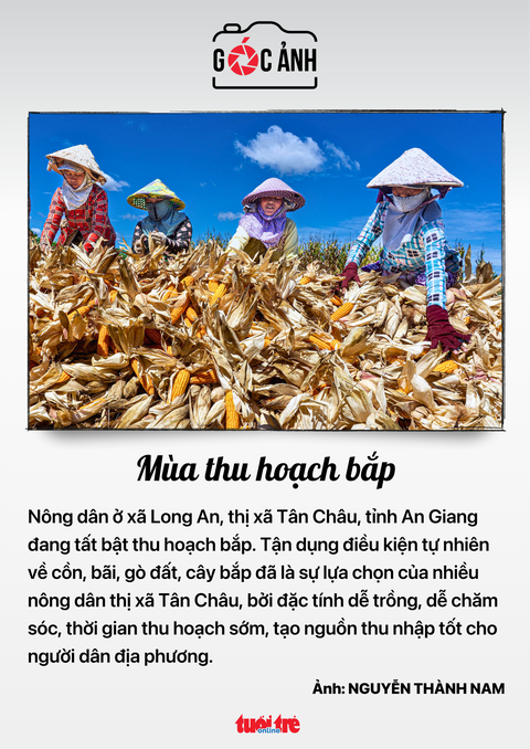 Tin tức sáng 11-7: Bắc Giang phát hiện thêm ca dương tính với bạch hầu - Ảnh 9. Tin tức sáng 11-7: Bắc Giang phát hiện thêm ca dương tính với bạch hầu - Ảnh 9.